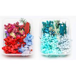 2 Stuks - Natuurlijke Gedroogde Bloemen - Set Gemengde Geperste Droge Bloemen - Diy - Geschikt voor  Kaarsen Maken/ Hars/ Sieraden/ Bloem Maken/ Craft - Rood - Blauw