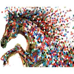 2.0 Products® - Schilderen op nummer - Paarden – Gekleurd - 40 X 50 CM - Canvas - Linnen - Painting by number