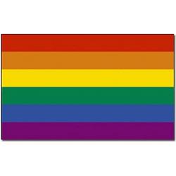 Regenboog vlag 90 x 150 cm - Gaypride