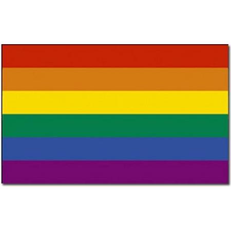 Regenboog vlag 90 x 150 cm - Gaypride
