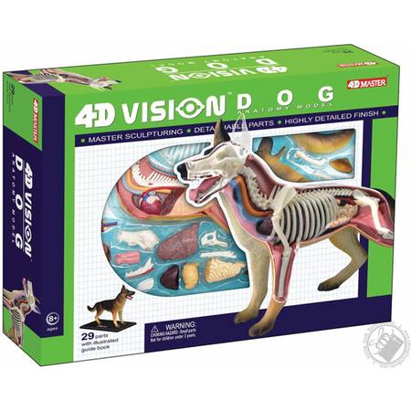 4D Educatief model herdershond - 3D-4D puzzel