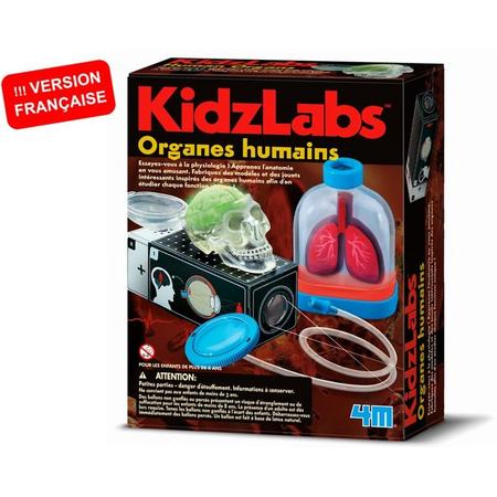 4m Kidzlabs Menselijke Organen 7-delig