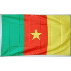 Kameroen Vlag - Kameroense Flag Cameroon - Tricolore 90 x 150 cm