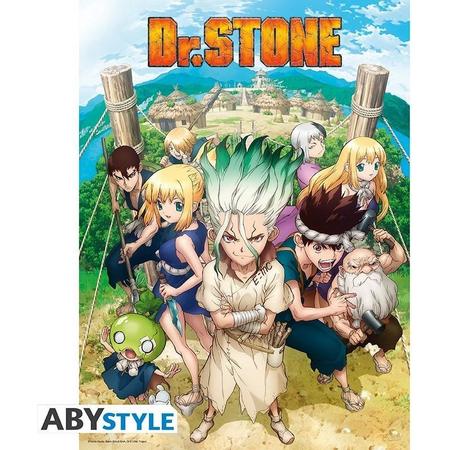 ABYstyle Dr Stone Group  Poster - 38x52cm