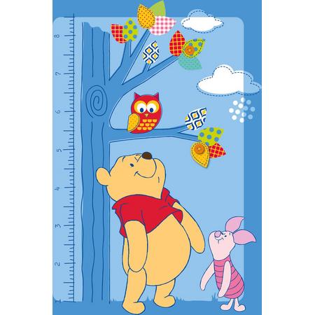 Pooh Speelkleed 95X133 Taller