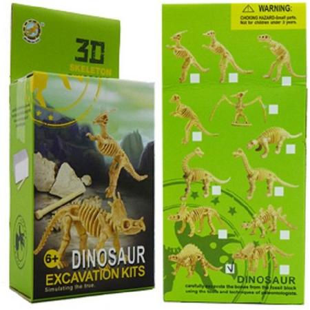 Dinoskelet uitbikken uit gipsblok 9x3x4c