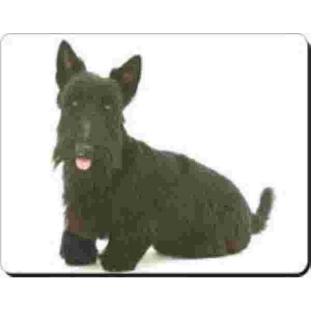 Zwarte Schotse Terrier muismat