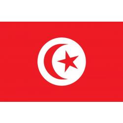 Sticker Tunesië 6 x 8 cm