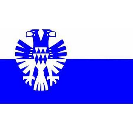 Vlag gemeente Arnhem 100 x 150 cm