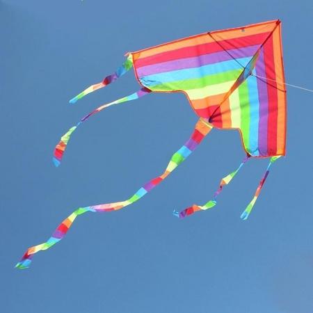 Apeirom Vlieger Multicolor maat 1.07 breed en 0.56 meter hoog. Feel the wind!