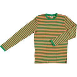 Apollo Verkleedshirt Stripes Heren Katoen Oranje/groen Maat S