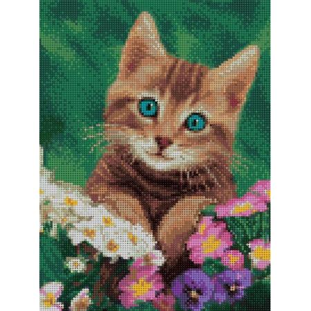 Diamond Painting Kitten tussen de Bloemen 30 x 40 cm