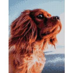 Diamond Painting Lovely dog 30 x 40 cm