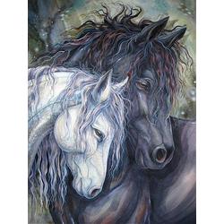 Diamond painting 2 paarden