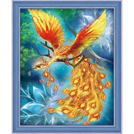 Diamond painting 40x50 cm - Bird - Vogel