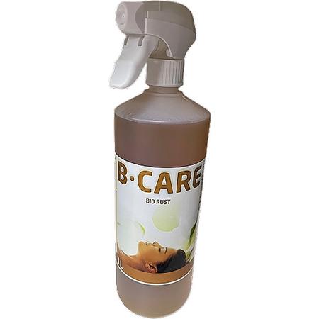 B-Care Chemicals - Bio Rust - Roestverwijderaar - Verwijder Roest - Metaal of Andere Oppervlakken - Geschikt voor Zwembaden