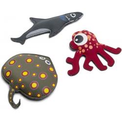 Duikdieren – Haai, Rog en Octopus