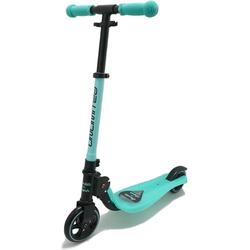 Scooter Unlimited Mint