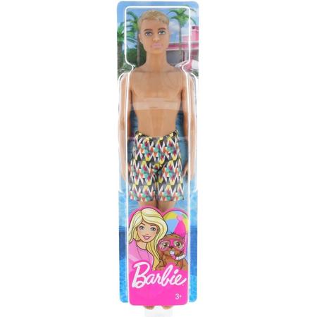 Barbie Ken Strand Pop