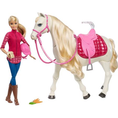 Barbie met Droompaard - Barbiepop