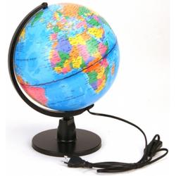 Globe Met Licht Nederlands LED 25 Cm
