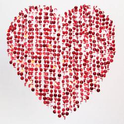 Beekwilder LVT - Valentijn - Hart gordijn - Pailletten - Kralen - Rood