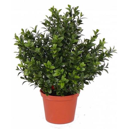 Kunst buxus plant in pot 31 cm