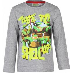 Ninja Turtles t-shirt grijs 98