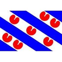 vlag Friesland, Friese vlag, Fryslan