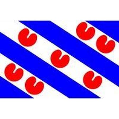vlag Friesland, Friese vlag, Fryslan