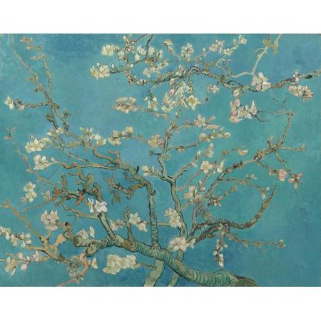 Best Pause Amandelbloesem van Vincent van Gogh - 40x50 cm - DIY Hobby Pakket