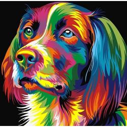   Hond multikleur - Schilderen op nummer - 40x50 cm - DIY Hobby Pakket