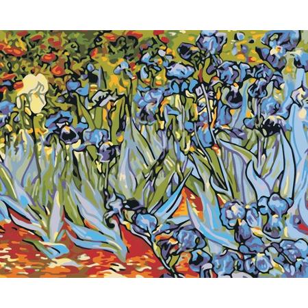 Best Pause Irissen van Vincent van Gogh - 40x50 cm - DIY Hobby Pakket