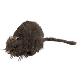 Decoratie Rat (15 x 8cm)