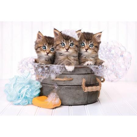 Puzzel - Lovely Kittens (180)