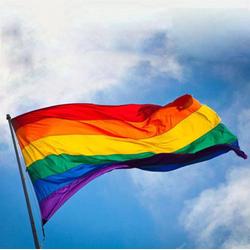 BukkitBow Regenboogvlag - LGBT Gay Pride Vlag