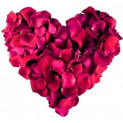 CHPN - Rozenblaadjes - 1000 stuks - Bordeaux rood - Rozenblad - Huwelijk - Valentijnsdag - Rode rozen - Rozen blaadjes - Romantiek