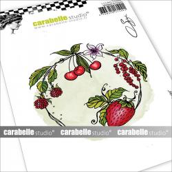 Carabelle Studio Cling Stamp A6 Cercle Fruité