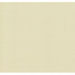 20 Linnen kaarten papier - Scrapbook papier - Zalm - Cardstock - 30,5 x 30,5cm - 240 grams - karton