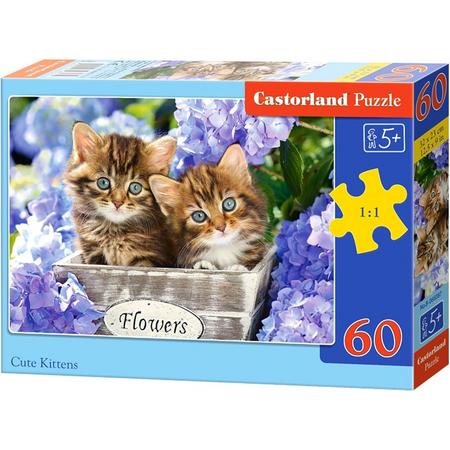 Cute kittens - 60 stukjes