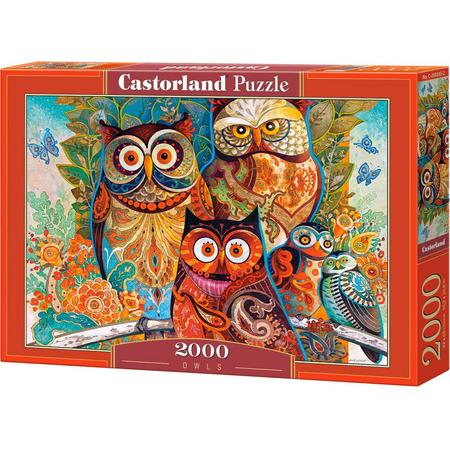 Owls - 2000 stukjes