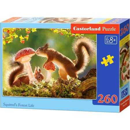 Squirrels Forest Life - 260 stukjes