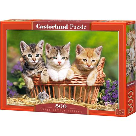 Three lovely kittens - 500 stukjes