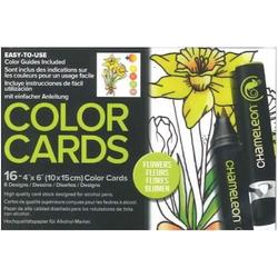   Color Card Bloemen