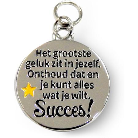 Charms for you - Bedeltje - Succes