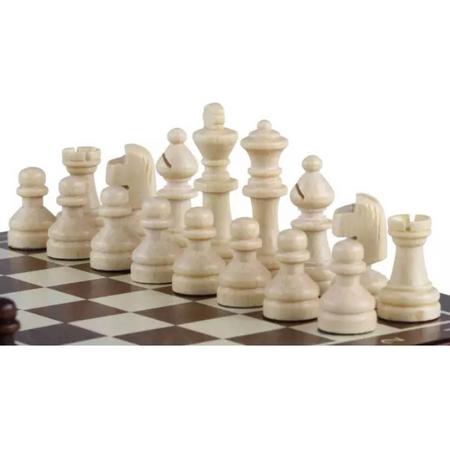 Magnetisch Schaakbord met Schaakstukken - Compact schaakset op Reis - Schaakspel