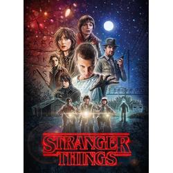   Netflix Stranger Things Puzzel 1000 Stukjes