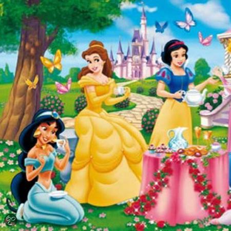 Disney Prinsessen (4x6)