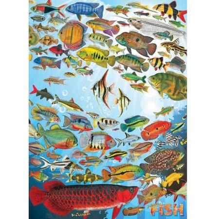 Cobble Hill - Tropical Fish