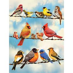 Cobble Hill: Birds on a wire - Greg Giordano (500) legpuzzel